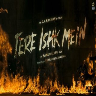 Tere Ishk Mein (2024) - Cast, Review, Collection & Info