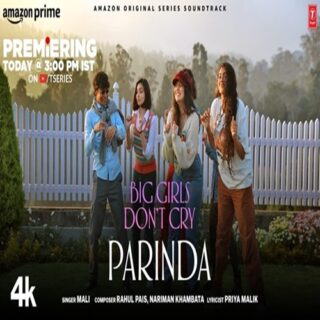 Parinda Song - Movie, Cast, Singer, Actress Name, Meaning, Video & Info