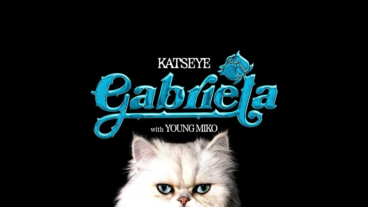 Is The Song Gabriela By Katseye About A Cat